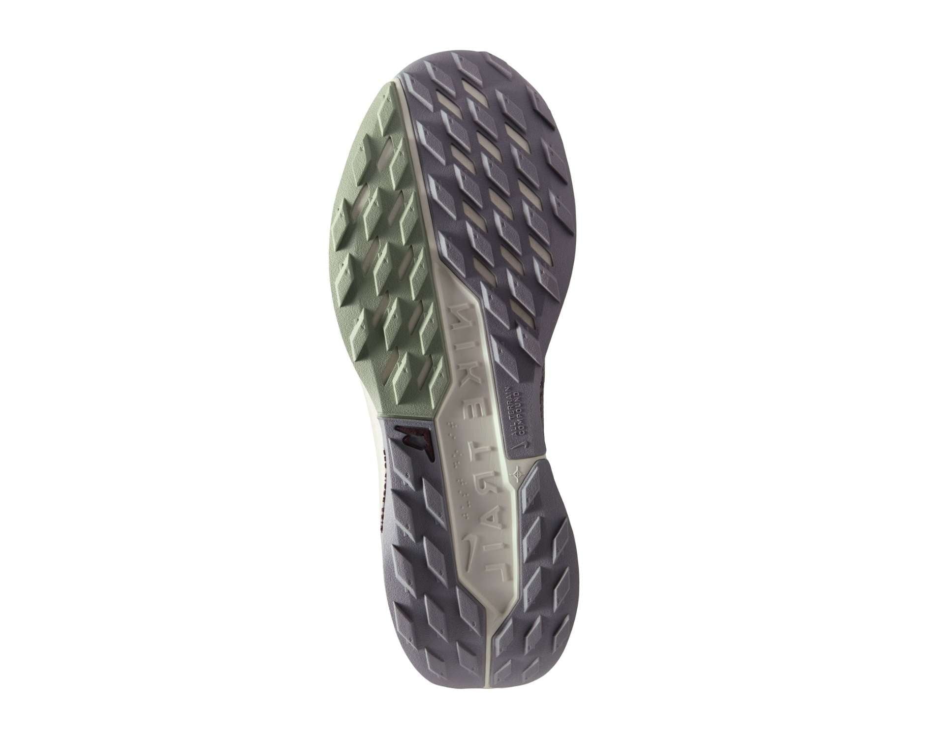 Nike Pegasus Trail 5 GORE-TEX Mens Trail-Running Shoes