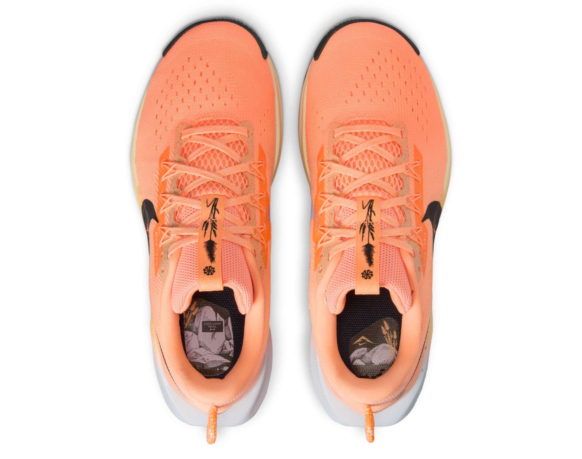 Nike Pegasus Trail 5 Womens Running Shoes