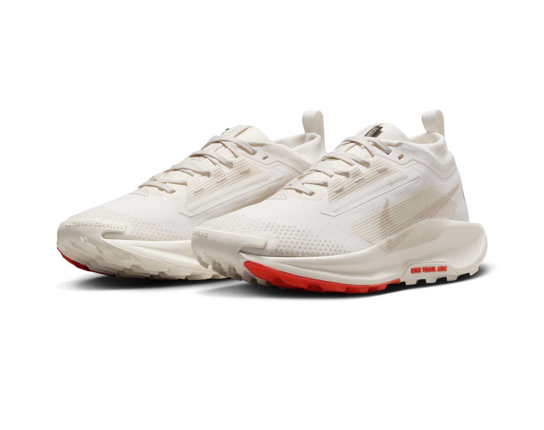 Nike Pegasus Trail 5 GORE-TEX Womens Trail-Running Shoes
